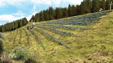 Piblin tak by mla vypadat Ivanena. Konená podoba se jet me zmnit.