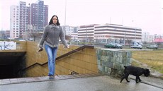 Nejvtí ostravské sídlit Dubina