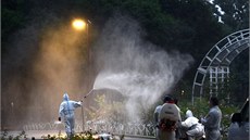 Horekou dengue se nakazilo u nejmén 35 Japonc. Velkou ást z nich típl