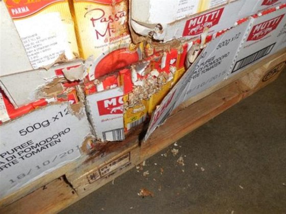 Státní zemědělská a potravinářská inspekce našla ve skladu Kauflandu myší trus...