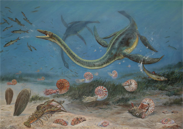 Odpověď na otázku, jak plavali „vodní dinosauři“, byla dlouho tajemstvím