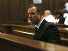 Oscar Pistorius Steenkampovou nezavradil, rozhodl soud (12. záí)