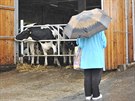 V Uhelné Píbrami u Golova Jeníkova vyrostla nová farma a bioplynová stanice...