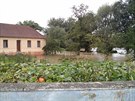 Zatopená zahrada v ernín na Znojemsku. (14. záí 2014)