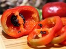 Pro papriky rocoto jsou typická tmavá semínka. 