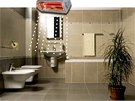 Pro vtí koupelny se doporuuje píkon sálavých topidel 1500 a 2000 W.  