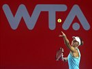 eská tenistka Karolína Plíková bhem turnaje v Hongkongu