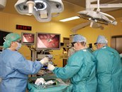 Tak vypadá moderní sál pro operace hrudníku. Co se děje uvnitř vidí lékaři na...