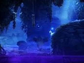 Ori and the Blind Forest