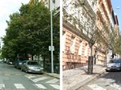 Souasná Belgická ulice v porovnání se Záhebskou, kde nové stromky nedlají...