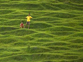 ZELE VELKOMSTA. Dti si hrají v kopcích na pedmstí nepálského hlavního...