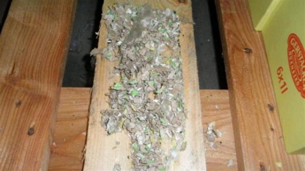 Státní zemědělská a potravinářská inspekce našla ve skladu Kauflandu myší trus a rozkousané obaly.