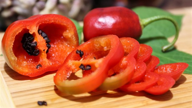 Pro papriky rocoto jsou typick tmav semnka. 