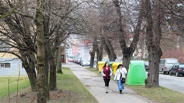 Lid se v Kolonii dokaj novch chodnk.