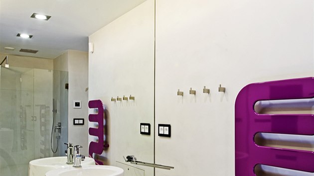 Atypick koupelnov raditor a voln stojc umyvadlo oblmi tvary pjemn kontrastuj s vudyptomnm pravohlm konceptem domu.