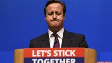 Proti odtrení  Skotska se opakovan vyslovil britský premiér David Cameron.