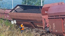 Nákladní vlak plně naložený uhlím vykolejil u Převýšova na Královéhradecku....