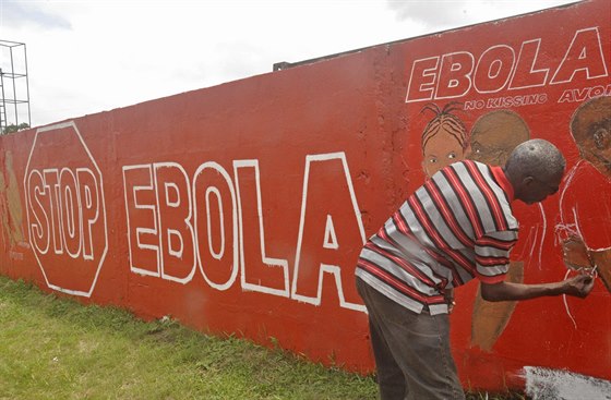 Místní liberijský malí maluje na venkov obraz, který má vzdlávat proti...