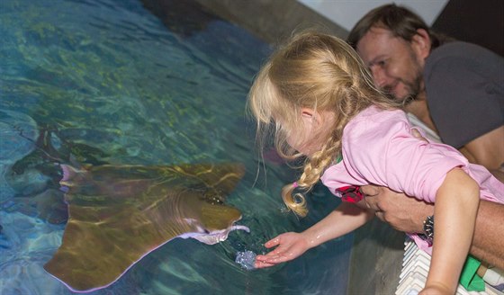 Pavilon rejnok, který nemá ve stední Evrop obdoby, se významn podílel na letoním rstu návtvnosti zlínské zoo.