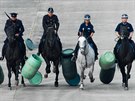 Jízdní oddíl mstské policie na Dnech NATO v Ostrav