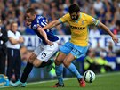 James McCarthy z Evertonu (vlevo) a Mile Jedinak z Crystal Palace bojují o mí. 