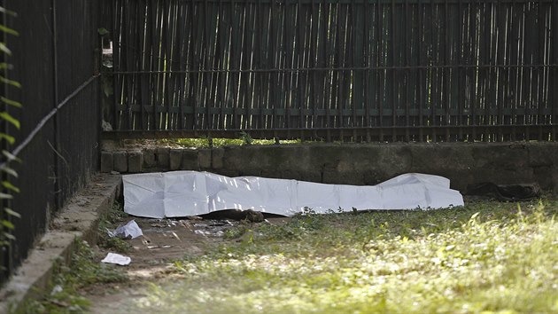 Pikryt tlo mladka, kterho v zoologick zahrad v Novm Dill zabil bl tygr (23. z 2014