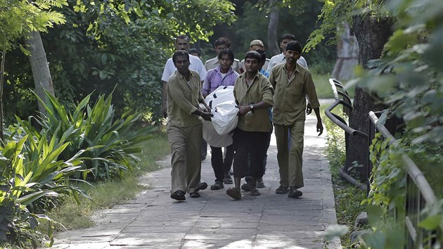 Zamstnanci zoologick zahrady v Novm Dill odnej tlo mladka, kterho zabil bl tygr (23. z 2014)