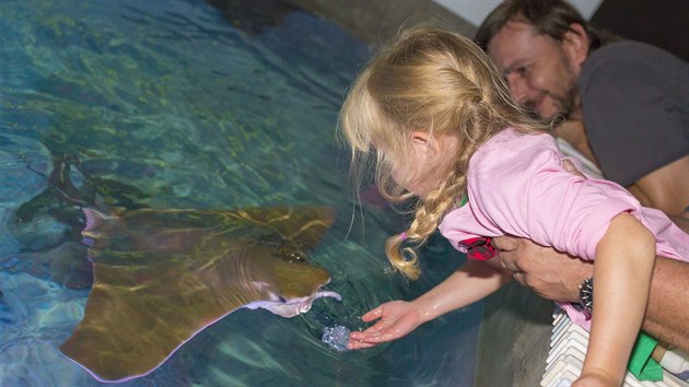 Dotknout se rejnoků, to je pro dětské i dospělé návštěvníky zlínské zoo velký zážitek.