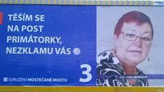 V mosteckých ulicích se objevil fale�ný billboard nám�stkyn� primátora Hany...