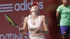 NEDAÍ SE. Maria Kirilenková v semifinále turnaje v Soulu. 