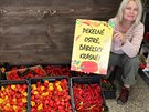 Majitelka Hana Polanská si v Brn s kolegyní oteveli obchod World of Chilli...