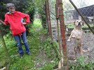 Útulek pro psy z města i okolí funguje ve Žďáře nad Sázavou devatenáct let....