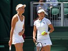Andrea Hlaváková a eng ie se radí ped výmnou ve Wimbledonu