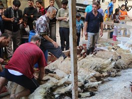V syrském Aleppu jsou na svátek Íd al-adhá rituáln poráeny a stahovány z ke...