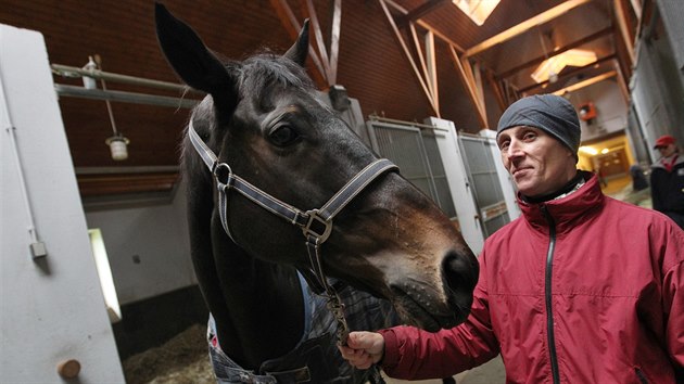 Klisna Orphee des Blins bude hlavn favoritkou vkendov Velk pardubick. Ve Zhoi se o ni star chovatel Ji Plzk.