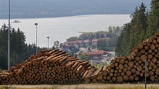 Z Jezerní sjezdovky je krásný výhled na Lipno.