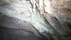 Speleologové v Býí skále objevili stometrovou chodbu s krápníky.