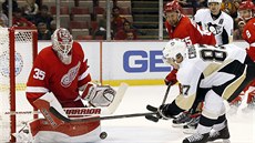 Detroitský gólman Jimmy Howard  likviduje anci Sidneyho Crosbyho z Pittbsurghu.