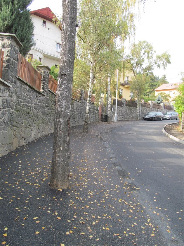 Chodník v ulici nevznikl, místo toho jsou stromy zalité asfaltem.  (16. 10....