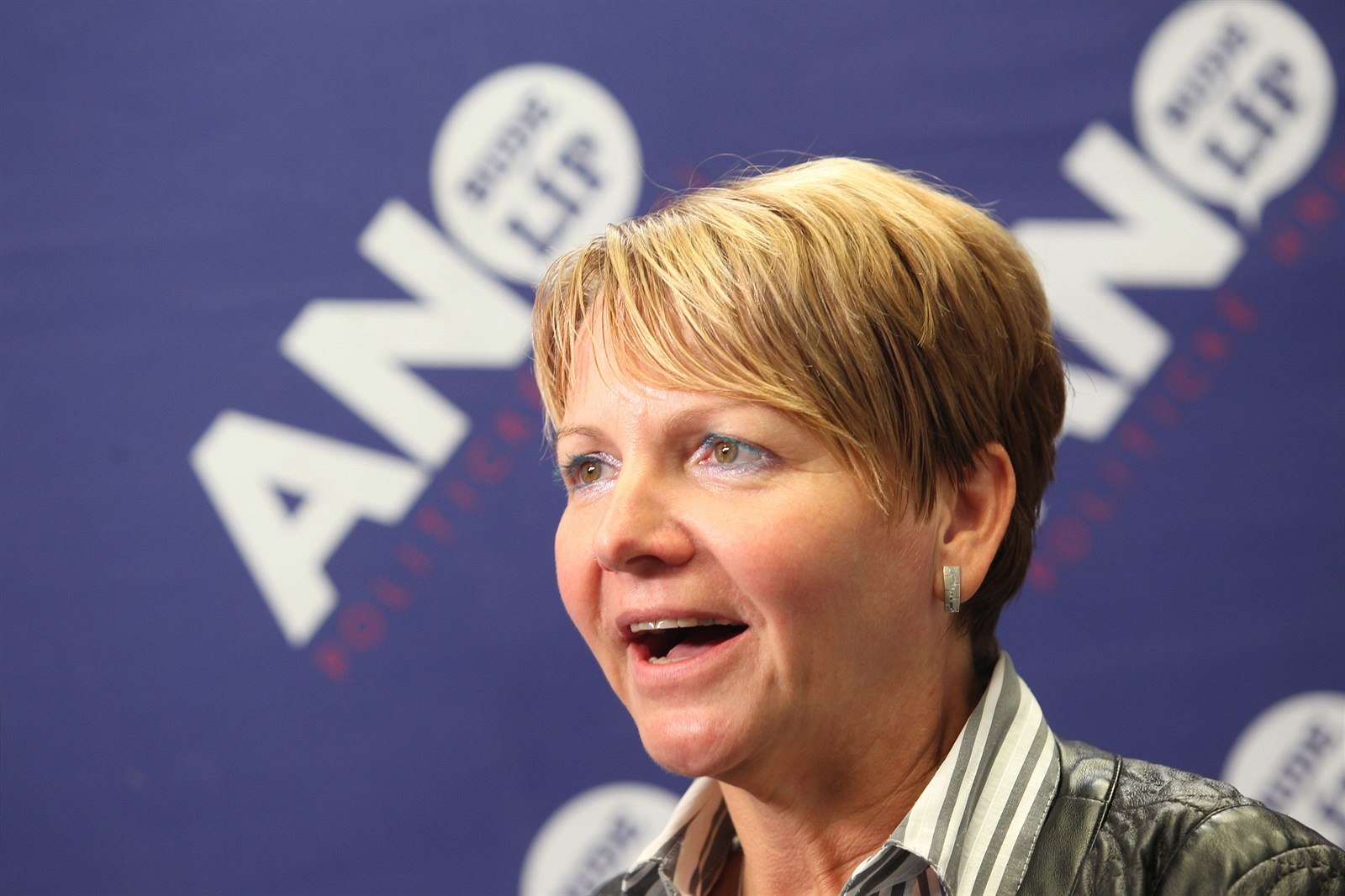 Nov� zvolená senátorka za Louny Zde�ka Hamousová p�i tiskové konferenci hnutí...