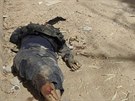 Mrtvý bojovník Ansar a-ária v Benghází (15. íjna 2014).
