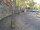 Chodnk v ulici nevznikl, msto toho jsou stromy zalit asfaltem. (16. 10....
