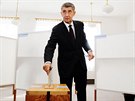 P�edseda hnutí ANO Andrej Babi� odevzdal sv�j volební hlas v pra�ských...