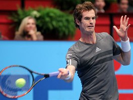 Andy Murray ve finle turnaje ve Vdni. 