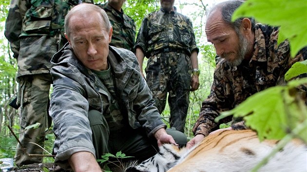 Vladimir Putin se velmi angauje v boji za zchranu ohroenho tygra ussurijskho.