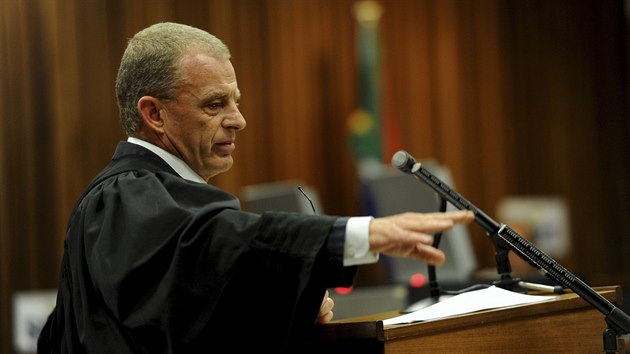 alobce Gerrie Nel d pro Oscara Pistorius nejmn deset let vzen (Pretoria, 17. jna 2014).