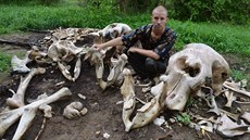 Spou��. I tento kolos musel zahynout kv�li slonovin�.