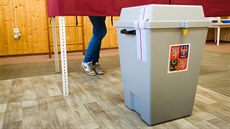 Druhé kolo voleb do Senátu ve �kolce ve Vysoké nad Labem. (17. �íjna 2014)