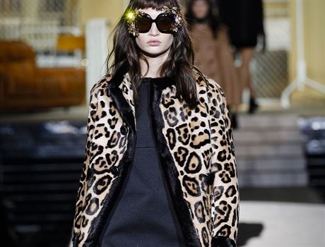 Kabt s leopardm vzorem DSquared2, kolekce podzim - zima 2014/2015