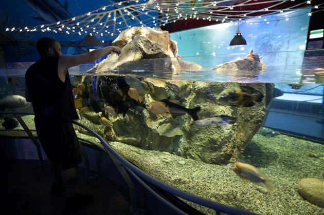 Fotogalerie: Čištení akvária pomocí dvou magnetů